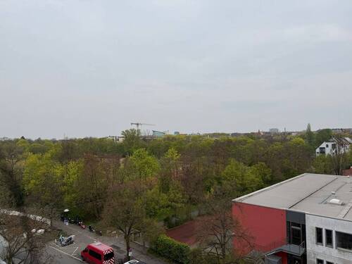 Blick in den Wiesengrund - 