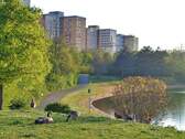 Ihr Zuhause am See – direkt am Mainparksee - 