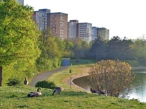 Ihr Zuhause am See – direkt am Mainparksee - 