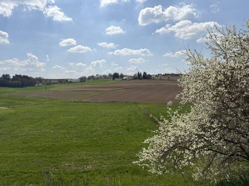 Weide - Einfamilienhaus mit 187,00 m&sup2; in Arnstorf zum Kaufen