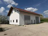 Halle - 