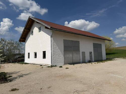 Halle - 
