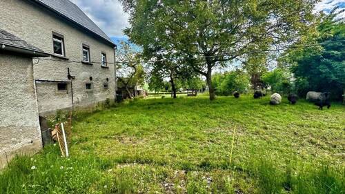 Blick in den Garten - 