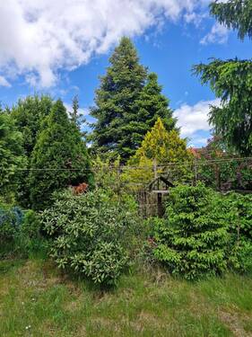 Garten - 