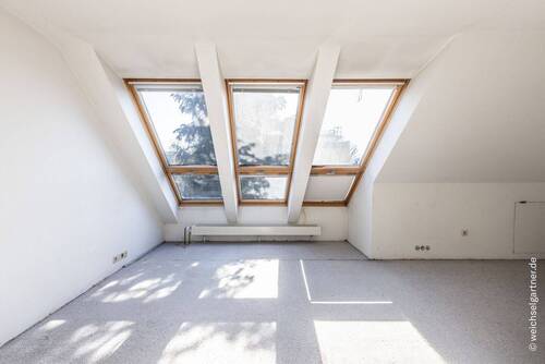 Dachstudio - 
