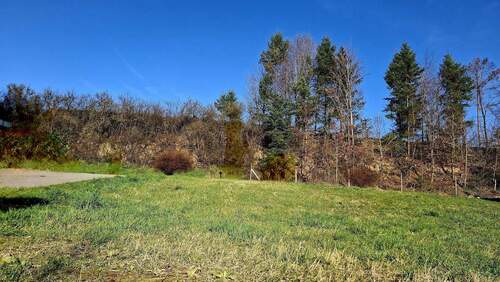 Baugrundstück - Grundstück zum Kaufen in Ettenheim