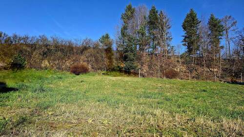 Baugrundstück - Grundstück in Ettenheim