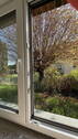 Fenster - 