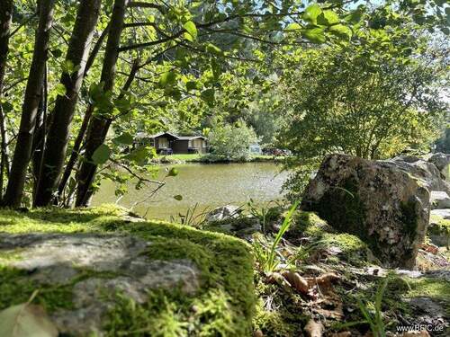 Angelsee - 