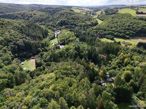 Luftbild - Hotel, Pension, Gasthof in Bockenau zum Kaufen