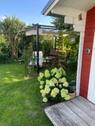 Gartenpavillon - 