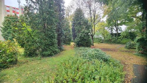 Garten & Sitzgelegenheit - 