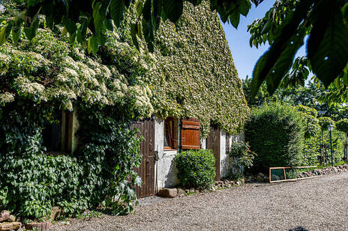 Bild 21 - 