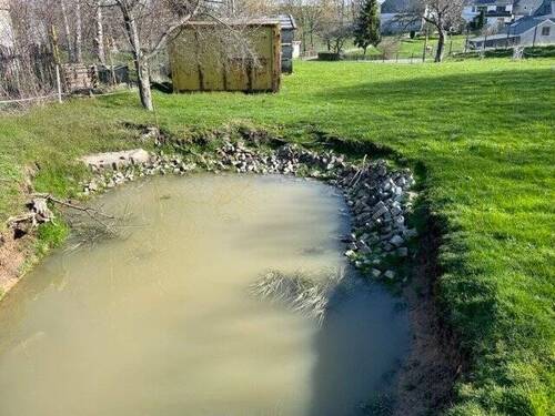 ehemaliger angelegter Teich - 