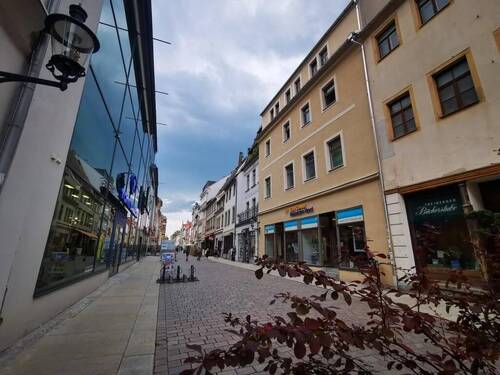 Hausansicht - Mehrfamilienhaus, Wohnhaus zum Kaufen in Freiberg