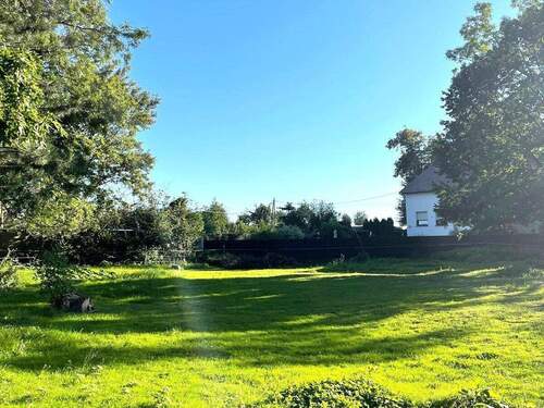 Große Naturschutzfläche - Grundstück zum Kaufen in Lützen