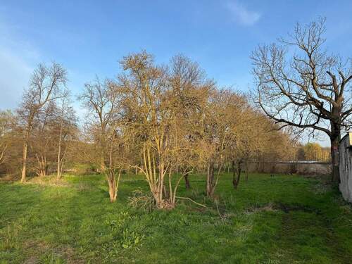 Hier könnte Ihr Zuhause sein - Grundstück in Lützen