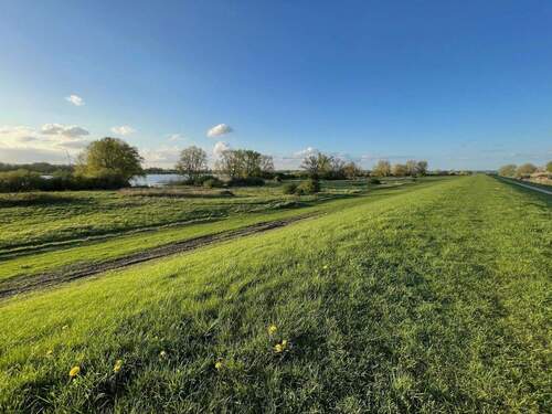 Elbdeich in der Sonne - 