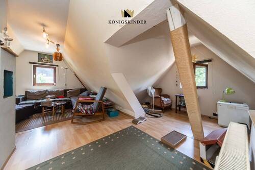 Dachspitz - 