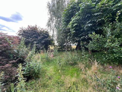 Garten - 