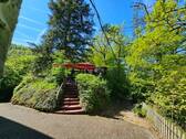 Eingang Terrasse - 