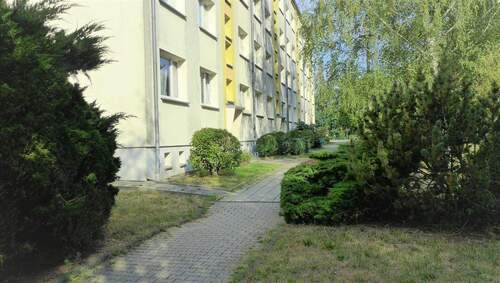 P1030734.JPG - Gemütliche 2-Zimmer-Wohnung in Borna zur Miete