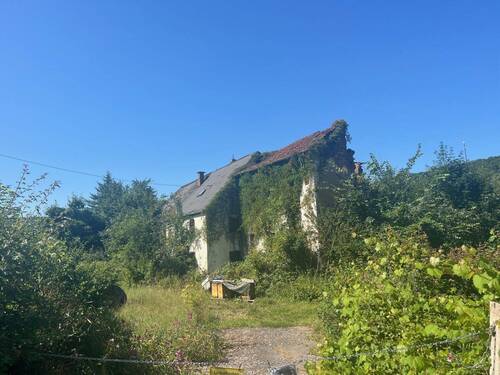 Bild 1 - Großes schön gelegenes Grundtsück nahe an der Prims in Wadern-Büschfeld zu verkaufen