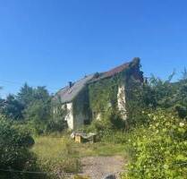 Großes schön gelegenes Grundtsück nahe an der Prims in Wadern-Büschfeld zu verkaufen