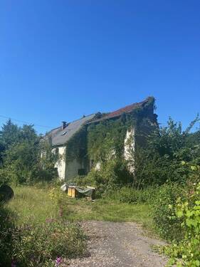 Bild 2 - Grundstück zum Kaufen in Wadern