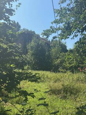 Bild 3 - Grundstück in Wadern