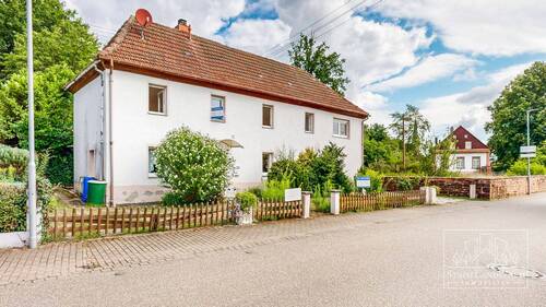 Straßenansicht - 8 Zimmer Mehrfamilienhaus, Wohnhaus zum Kaufen in Ludwigswinkel