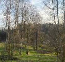 Baugrundstück 1 mit Wald und Wiesen - Flossenbürg Altenhammer