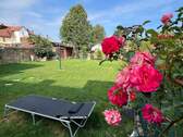 Blick in Garten - 