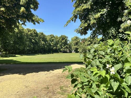 Rosenwiese - 