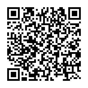 QR-Code - 