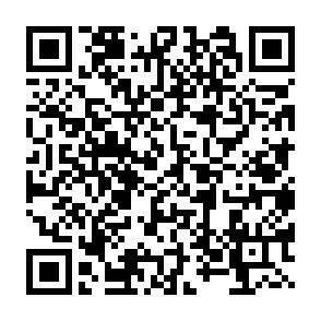 QR-Code - 