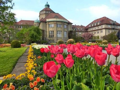 181a_ums Eck - Nymphenburger Schloßpark - 