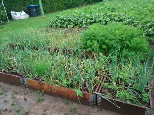 Garten und Hochbeete - 