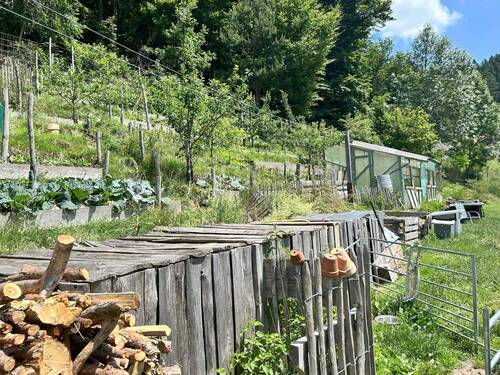 Bauerngarten - 