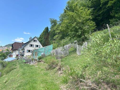 Blick vom Garten aufs Haus - 8 Zimmer Einfamilienhaus zum Kaufen in Schramberg