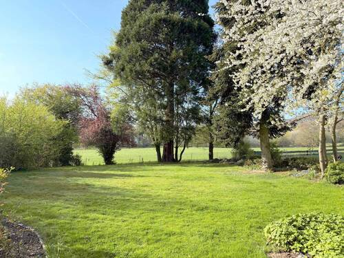 Gartenimpressionen.jpg - 
