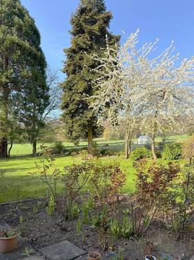 Gartenimpressionen.jpg - 