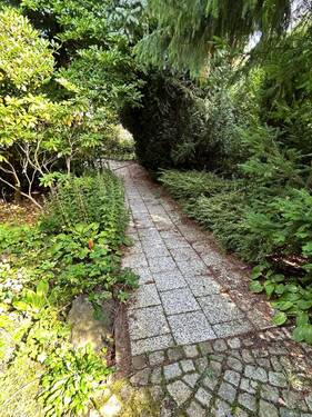 Weg zum Garten - 