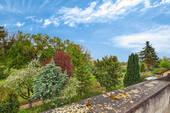 Ausblick - 