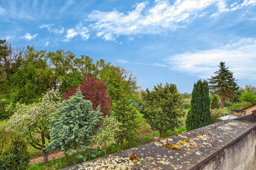 Ausblick - 