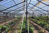Gewächshaus - Grundstück in Kirchlinteln zum Kaufen