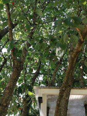 Bild 4 - Doppelhaushälfte mit 153,00 m&sup2; in Geldern zum Kaufen