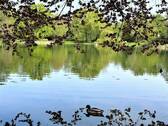 10 Minuten Gehweg zum Park - 