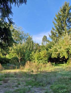 Grundstück - innen.jpg - Grundstück in Hoppegarten zum Kaufen