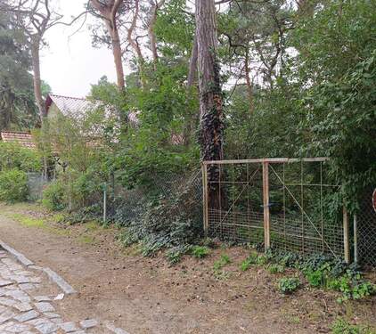 IMG_20250806_153220.jpg - Grundstück zum Kaufen in Hoppegarten